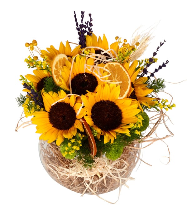 Happy Summer Cam Fanusda Yaz Ay�i�ekleri