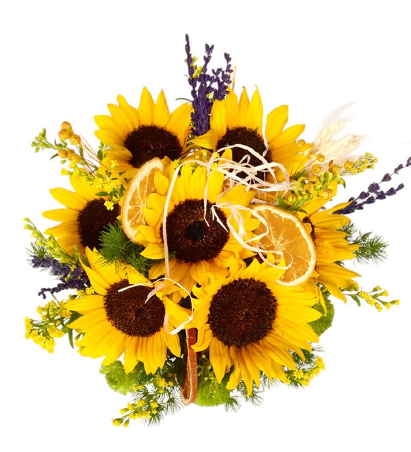 Happy Summer Cam Fanusda Yaz Ay�i�ekleri