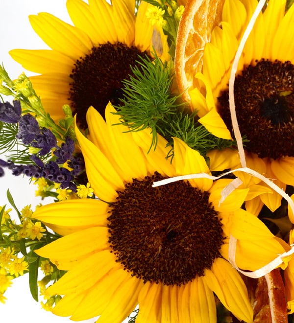 Happy Summer Cam Fanusda Yaz Ay�i�ekleri