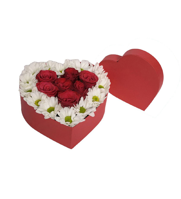 Red Magic Papatya ve G�ller