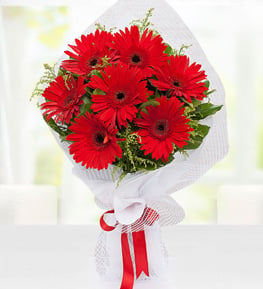 K�rm�z� Gerbera Buketi