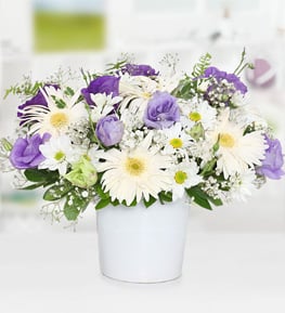 Lisyantus ve Gerbera