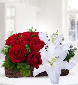 Do�al K�t�kte Lilyum ve G�ller