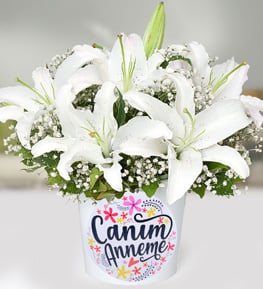 Can�m Anneme Lilyum Aranjman�