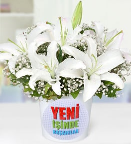 Yeni �� Temal� Beyaz Lilyumlar