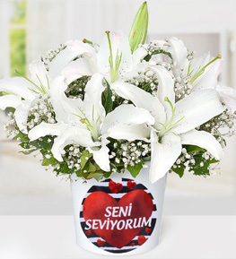 Mutlulu�un Tarifi Lilyumlar