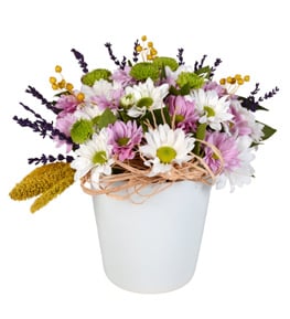 Mucize Sensin Papatya Aranjman�
