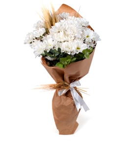 Do�al Beyaz Papatyalar