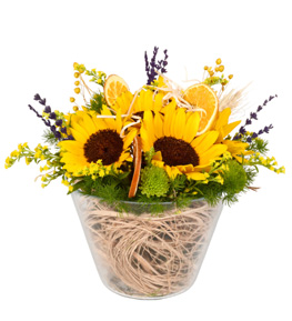 Daylight Sunflower Camda Sempatik Sar� Ay�i�ekleri